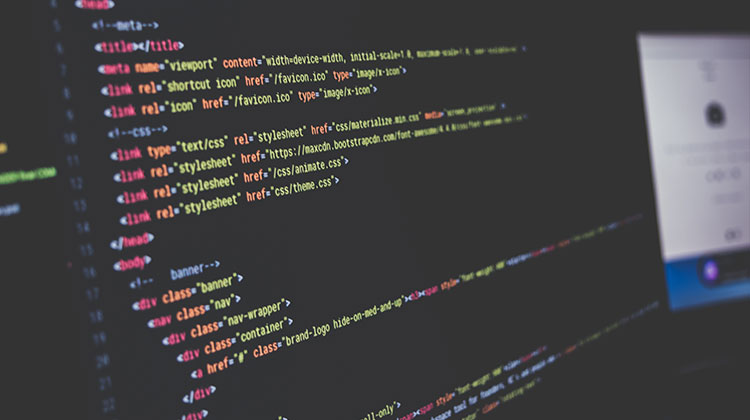 What is a Web Developer?